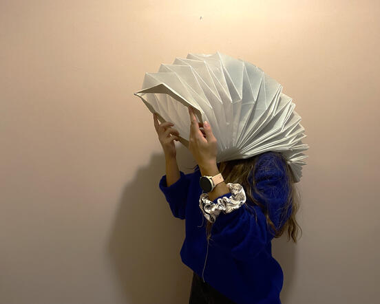 The one Who Cried Wolf